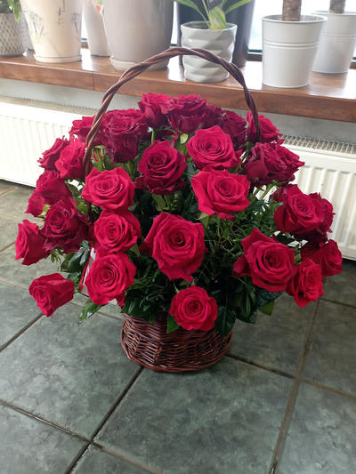 jedno ze zdjęć z portfolio