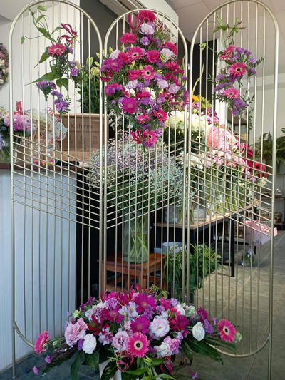 jedno ze zdjęć z portfolio